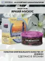 Освежитель в машину меловой Eikosha SPIRIT REFILL - BRIGHT MUSK, автомобильный ароматизатор на панель и дефлектор