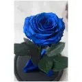 Живая Роза в колбе Therosedome Premium 6-7 см стабилизированная, цветок в колбе, вечная роза, подарок, декор для интерьера, цвет: синяя