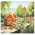 Чудесная Игла Набор для вышивания Любимая дача (47-06), белый, 40 х 40 см