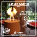 Биокамин ГЕФЕСТ, Круг, Напольная, Настольная установка