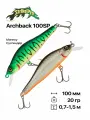 Воблер Strike Pro Archback 100SP, 100 мм, 20 гр, 0,7-1,5 м, #GC01S/A70-713