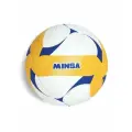 Мяч волейбольный Minsa VB500 DMS, р. 5 (18 панелей, машинная сшивка)