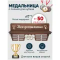 Медальница с полкой / Держатель для медалей / Медаллер / Подарок спортсмену / Награда / Спорт