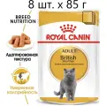 Влажный корм для кошек Royal Canin British Shorthair Adult, для взрослых кошек породы британская короткошерстная, 8 шт. х 85 г (кусочки в соусе)