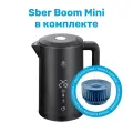 Комплект Умный чайник SLS KET-06 WI-FI черный c поддержкой голосовых ассистентов + Умная колонка SberBoom Mini