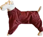 Демисезонный комбинезон для фокстерьера суки, на тонком синтепоне, повышенной прочности, цвет бордо