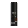 L'Oreal Professionnel Hair Touch Up Spray Hair Touch Up Тонирующий спрей коричневый 75 мл