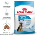 Корм для щенков Royal Canin при чувствительном пищеварении, для здоровья костей и суставов 2 шт. х 3000 г (для крупных пород)