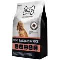 Gina Dog Salmon & Rice сухой корм для взрослых собак с лососем и рисом - 18 кг
