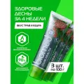 Зубная паста Biomed Gum Health с природными антисептиками, тонус и укрепление десен, 100 г, 3 шт