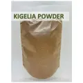 Порошок из плодов Кигелии Африканской Kigelia Africana маска для укрепления груди и здоровья кожи, Africa Natural, 100гр