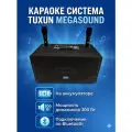 Караоке система Tuxun MegaSound мощность 300 Вт портативная с двумя микрофонами
