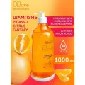 Шампунь для волос BB One Picasso Citrus Fantasy Shampoo, 1000 мл