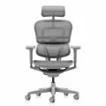 Кресло компьютерное FALTO Ergohuman 2 Ultra (наклон вперед, сетка, серый)