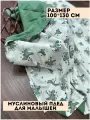 Муслиновый плед для малыша 100*130 см / Плед из муслина для новорожденных / детское одеяло полотенце 4х слойный дино