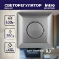 Диммер поворотный Intro Solo 4-401-03 скрытой установки 600ВА 230В алюминий