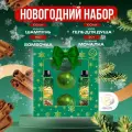 Новогодний подарочный набор косметики «Волшебница зима» для душа и ванны, зеленая серия