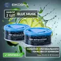 EIKOSHA Набор ароматизаторов для машины и дома - BLUE MUSK / ледяной шторм, автомобильный парфюм, арт. A-85 (2 шт.)