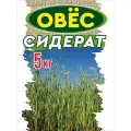 Овес для заваривания зерно, семена 5 кг.