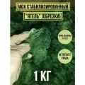 Мох ягель стабилизированный декоративный для творчества обрезки