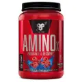 Bsn Amino X (1,02 кг) Голубика