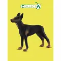 Фигурка животного Collecta, Доберман-пинчер