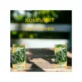 Огурец Быстрый старт F1 ПК цв. п 10 семян (комплект из 2 пачек) Гавриш