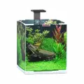 Аквариум куб 30 литров для рыбок, (31*31*35 см.)