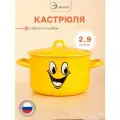 Кастрюля эмалированная для плиты 2.9 л