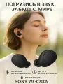 Sony наушники беспроводные WF-C700N (черный)