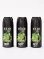 Дезодорант EXXE Power, спрей, 3шт, 150мл, для повседневного использования