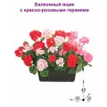 Композиция из искусственных цветов Балконный ящик с красно-розовыми геранями 60см от ФитоПарк