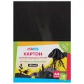   тонированный ArtSpace, 10 л., 10 цв. A4, 10 л., черный