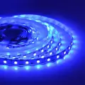 50BL Лента светодиодная в блистере, 12В, 14,4Вт м, smd 5050, 60 д м, IP20, 5м. синий