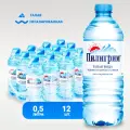 Пилигрим негаз 0,5л./12шт. Пэт Пилигрим Производство - Россия