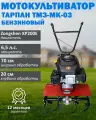 Мотокультиватор Тарпан ТМЗ-МК-03 с двигателем Zongshen, бензиновый, с червячным редуктором