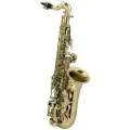 ROY BENSON AS-201 - альт саксофон детский