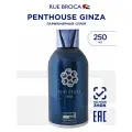 RUE BROCA PENTHOUSE GINZA парфюмированный спрей , дезодорант мужской, 250 мл