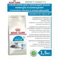 Сухой корм для кошек старше 7 лет ROYAL CANIN домашнего содержания, 1,5 кг