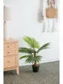 SA11853-AB Растение декоративное Пальма 48 х 68 х 80см, Glasar