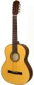 7-string guitar Hora N1010-7 - 7-string guitar with nylon strings, spruce top and solid maple body