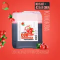 Сок концентрированный Клюква 5 кг, кисл. 9% (Happy Apple)
