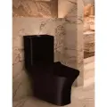 Напольный унитаз компакт CULTO WASS, черный