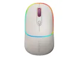Беспроводная мышь Canyon MW-22 1600dpi, Bluetooth/Wireless/USB, 85 г, рис / rice CNS-CMSW22RC