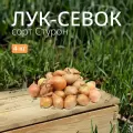 Лук севок Стурон 4 кг. Урожай 2023