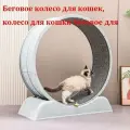 Беговое колесо для кошек, колесо для кошки беговое для тренировки кошки,80 см