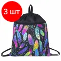 Комплект 3 шт, Мешок для обуви BRAUBERG с ручкой, карман на молнии, сетка, 51х41 см, Feathers, 271057