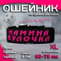 Ошейник для собак Buddy team на пряжке, с вышивкой мамина булочка, ширина 6 см, с мягким подкладом для средних и крупных пород, размер XL