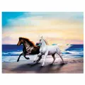 Алмазная мозаика Остров сокровищ 40х50 см, Бегущие по волнам, на подрамнике 662428
