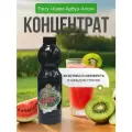 Основа Torry Киви Арбуз Алое, 1 кг, для коктейлей, смузи, лимонадов